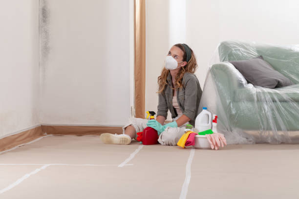 Reliable Mold Cleanup contractor in Saddle Brook, NJ by Cheap Mold Removal