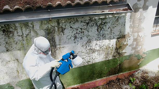 Trusted Mold Testing service in Saddle Brook, NJ - Cheap Mold Removal